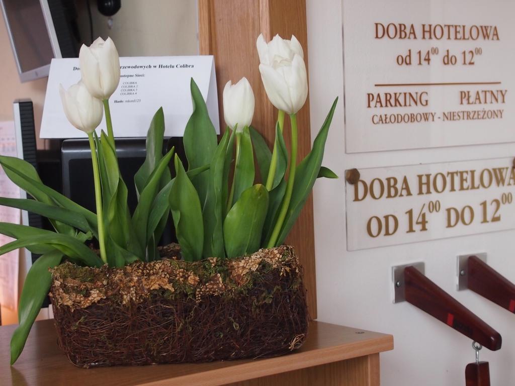 Hotel Colibra Βαρσοβία Εξωτερικό φωτογραφία